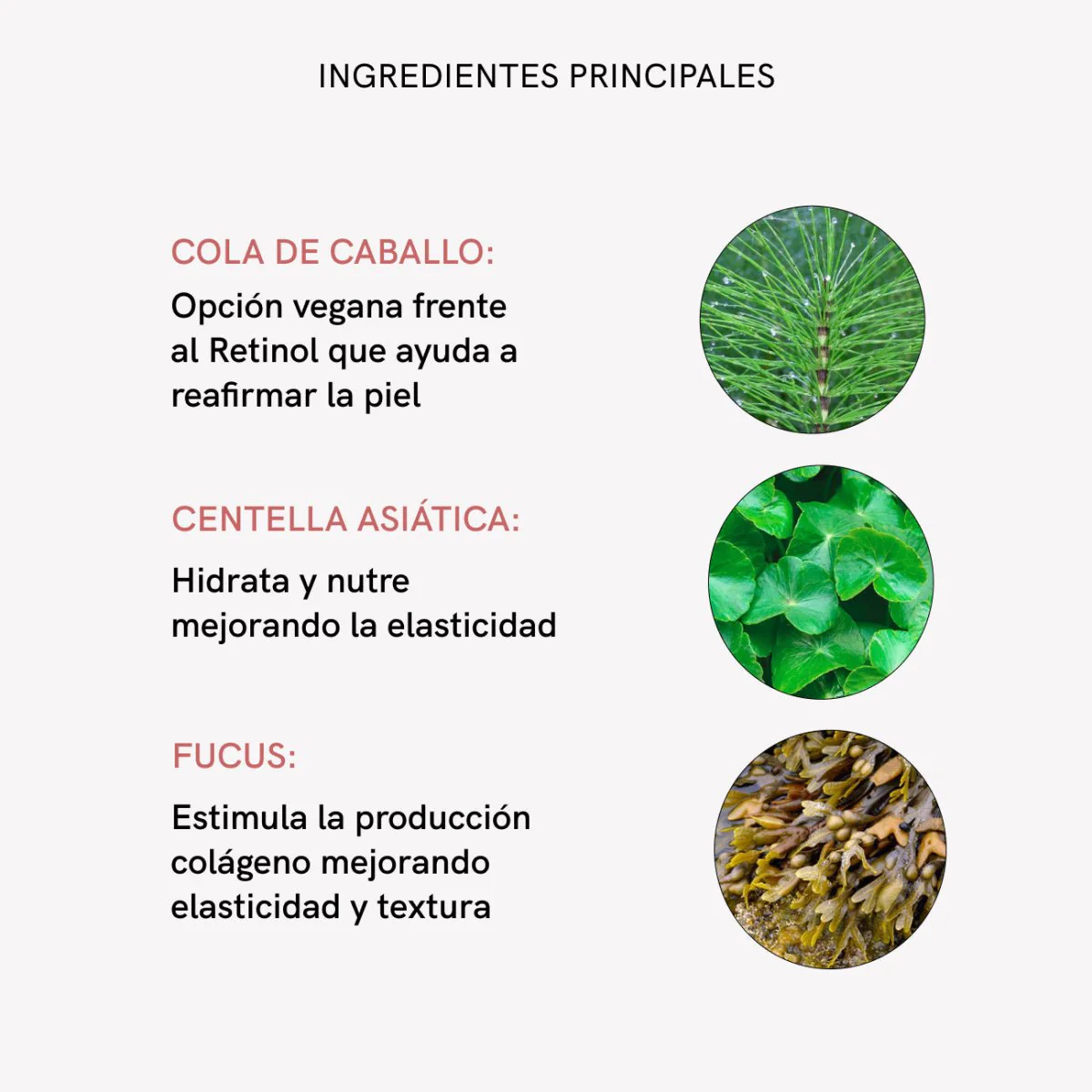 RF Body Firming 1000ml - Image 8