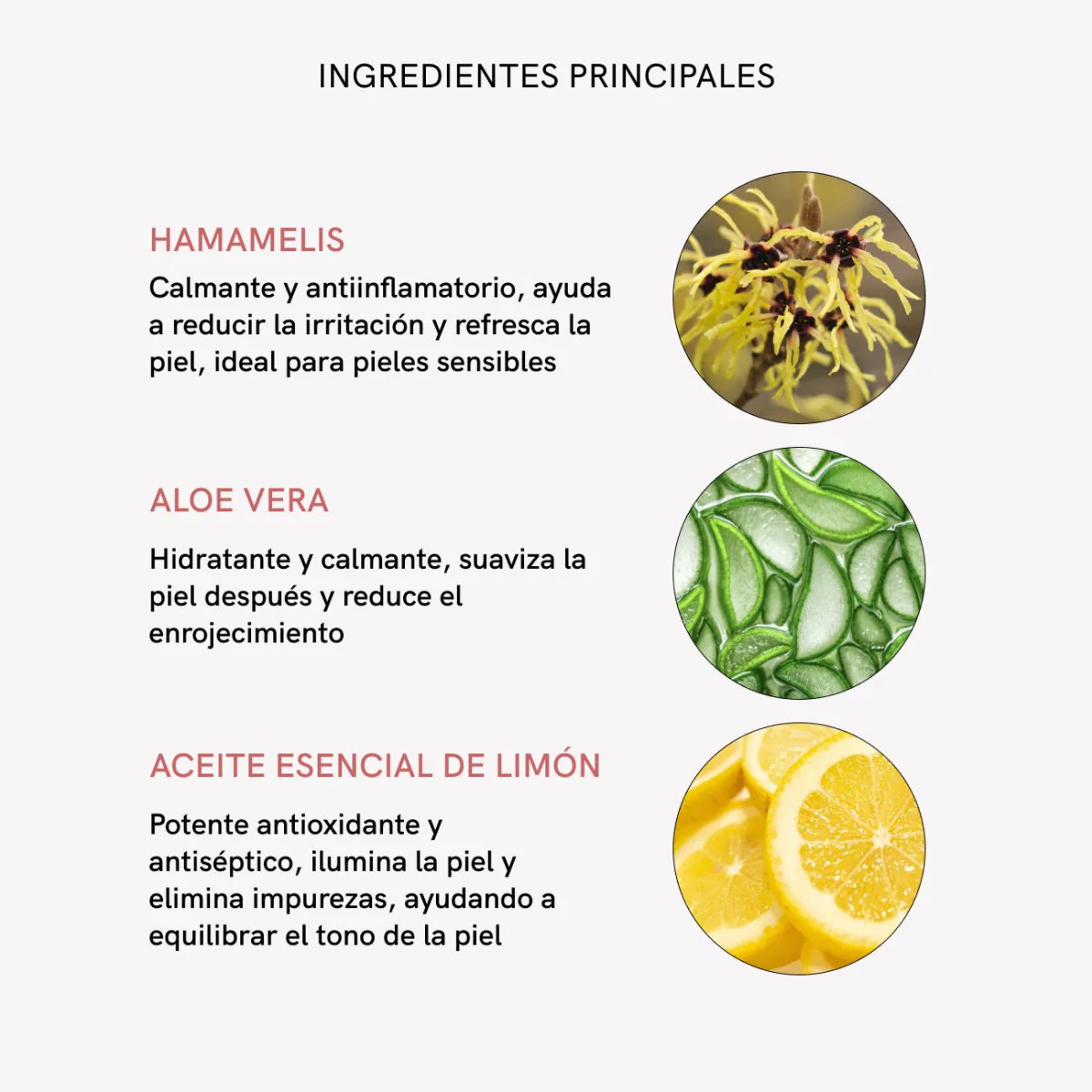 RF Cleanmas 1000ml - Image 7