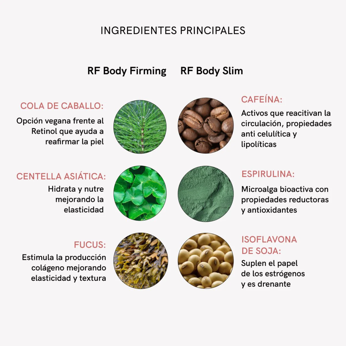 RF Tratamiento Cremas Corporales - Image 8