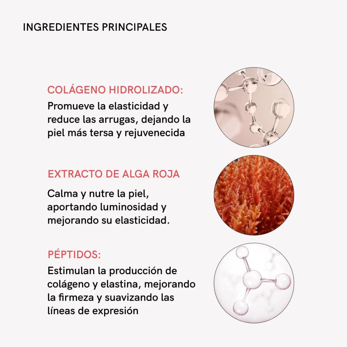 Collagenmas x5 - Image 7