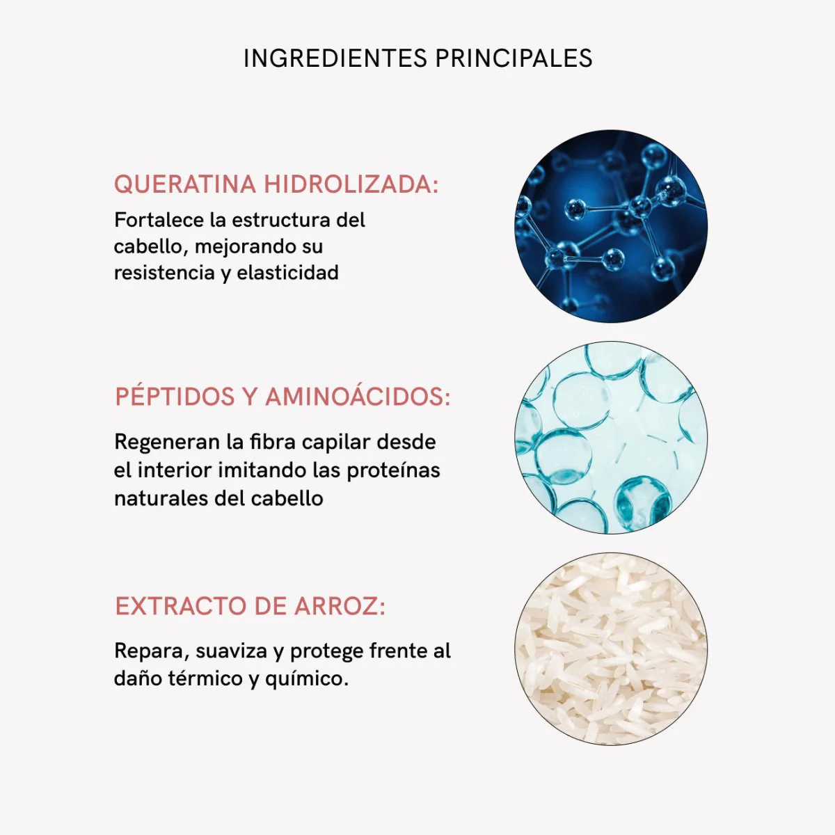 Tratamiento Reparador Capilar - Image 7